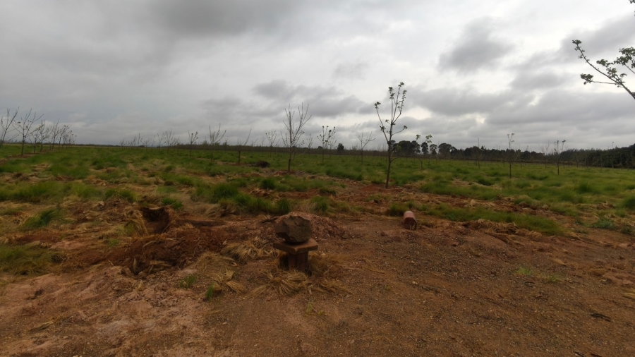 0 Bedroom Property for Sale in Koster North West
